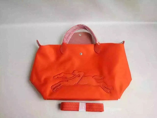 longchamp饺子包耐用吗,longchamp饺子包辨别真假