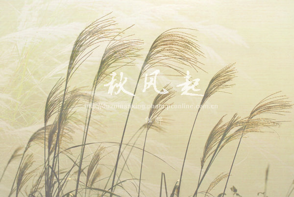 治风寒咳嗽偏方百分百有效,治疗风寒咳嗽的中药药方及依据