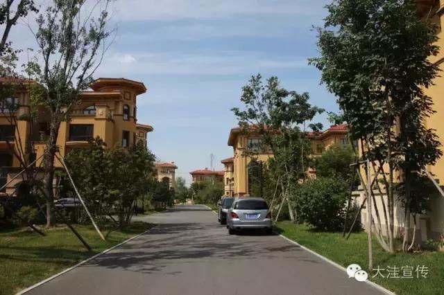 盘锦市田家街道：“我，就是全域风景”