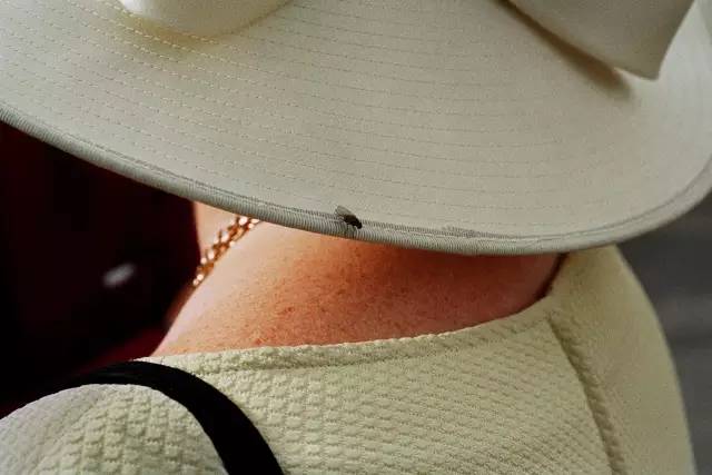 食色性也,食色幸也粤语版