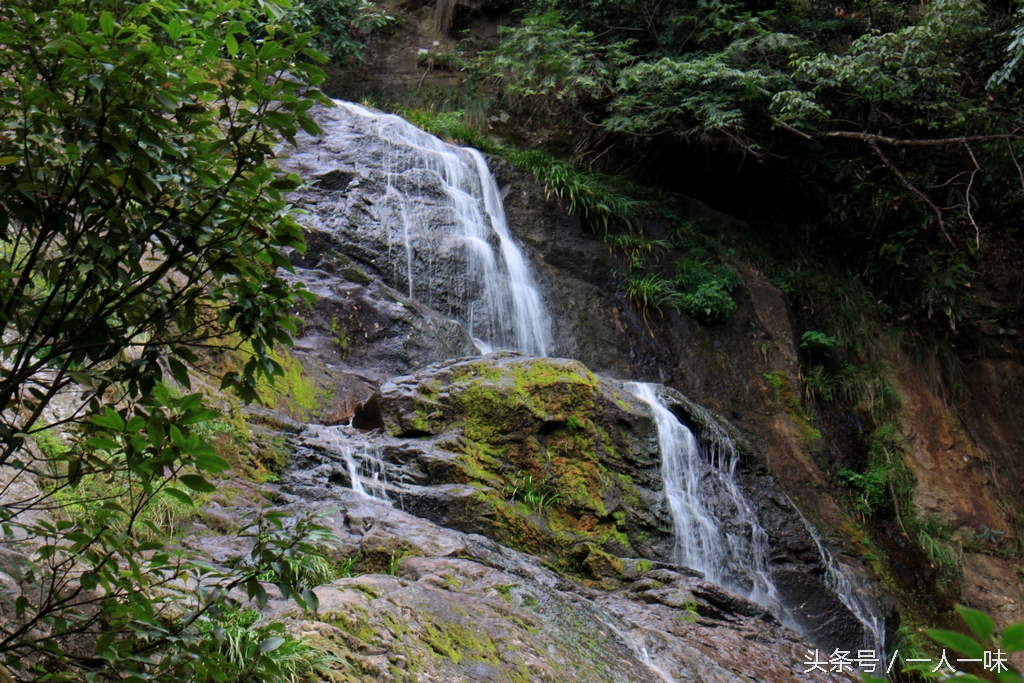 天目山必去八个景点,天目山必去三大景点