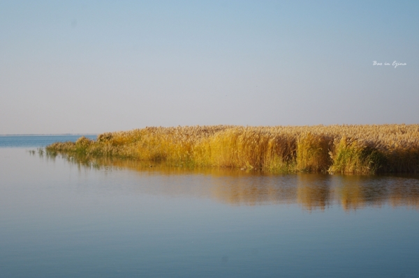 成都自驾额济纳旗攻略,额济纳旗深度游旅行攻略