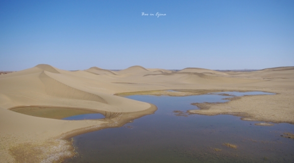 成都自驾额济纳旗攻略,额济纳旗深度游旅行攻略