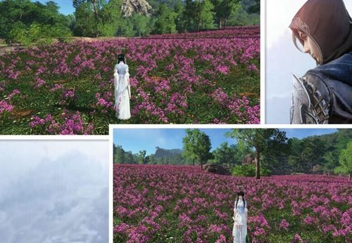 天涯明月刀节日福利,天涯明月刀通用礼包大全