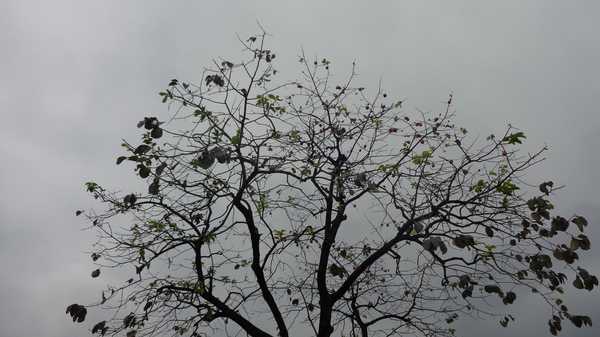 南昆山哪里好玩,惠州龙门南昆山