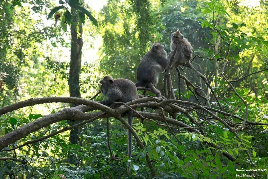 美国杂志推荐全球最佳旅游目的地,纽约时报最佳旅游目的地