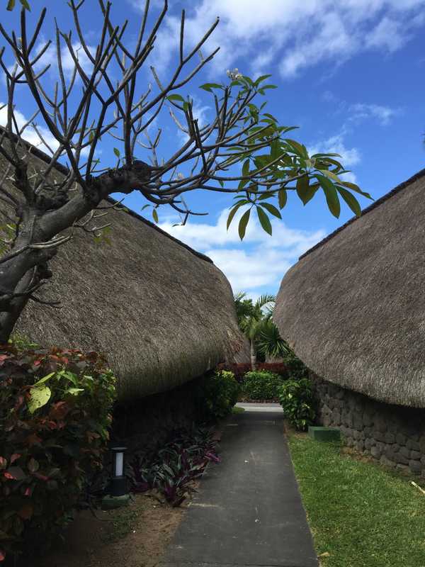 印度洋中的蜜月胜地毛里求斯,毛里求斯旅行的天堂