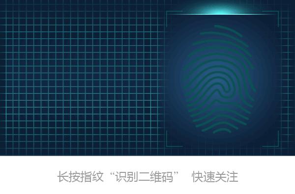 笔尖‖德宏美食之绿叶宴