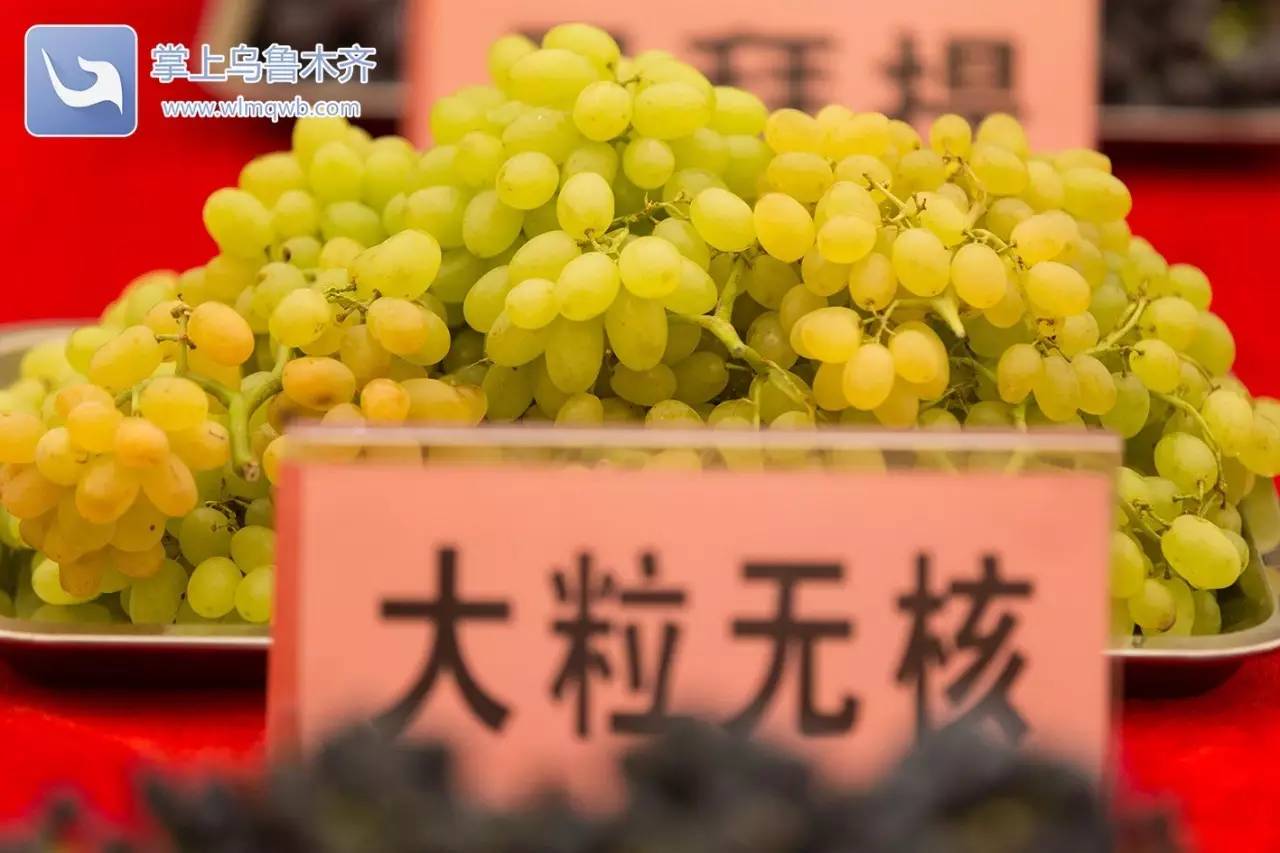 自带花香味的葡萄你吃过吗,吃葡萄不吐葡萄皮的葡萄怎么挑