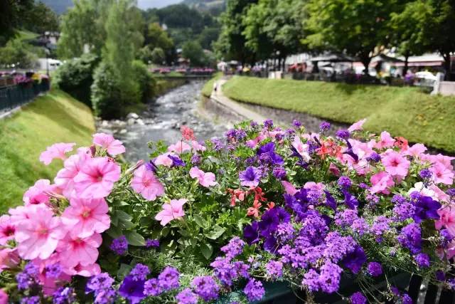 《东方神秘力量》,东方神秘力量解析完整版