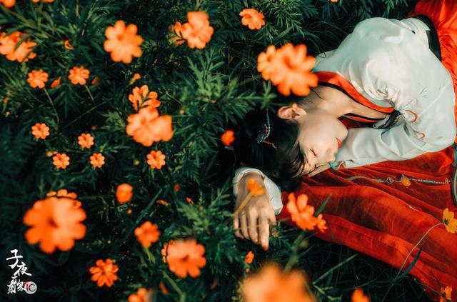 小说中的宫宴,宫宴上小说