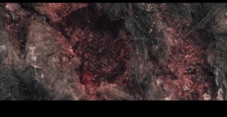 密集恐惧者请绕行,友情提示胆小的朋友请谨慎观看