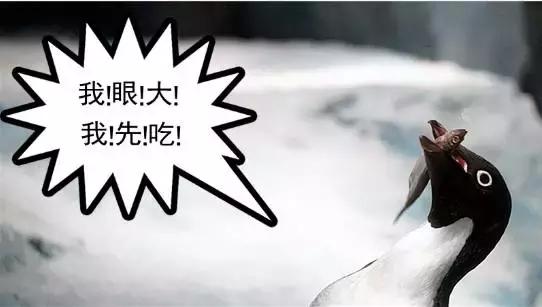 你以为他们在喂企鹅，其实他们在练腹肌