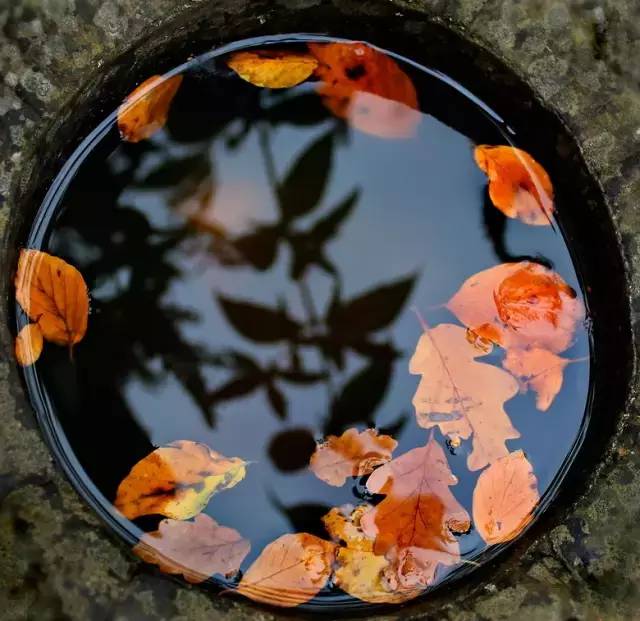 多事之秋的病,多事之秋应该如何应对