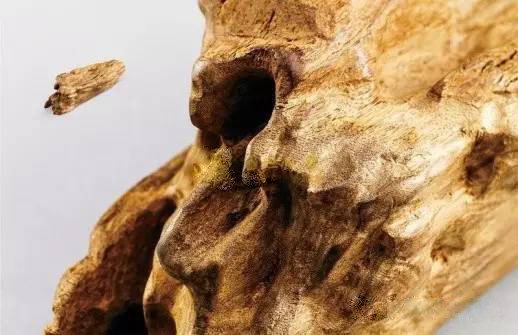 沉香线香术语与品评,关于沉香的100种术语