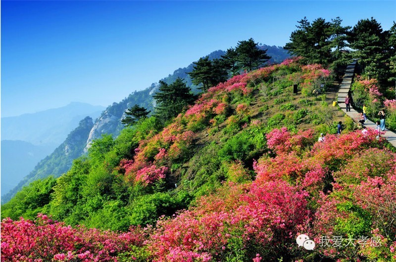 孝感到湖北各市县公里里程及自驾时间表,再也不怕导航迷路了