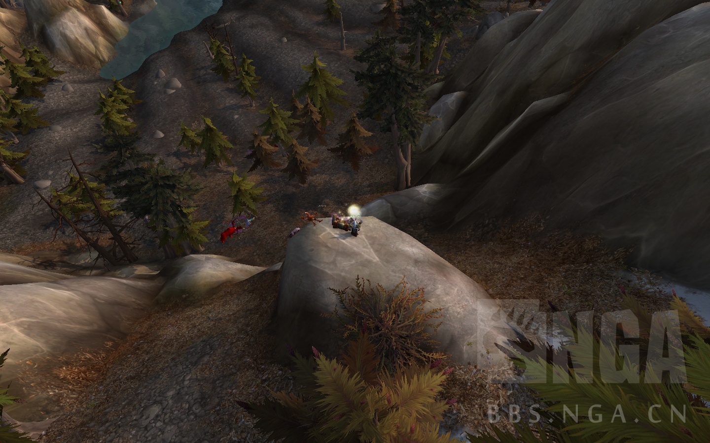 魔兽世界风筝龙玩具,魔兽世界风筝鹏羽位置