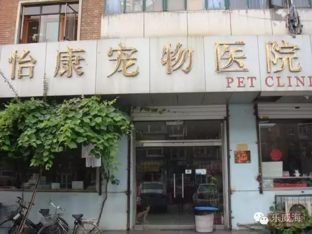 威海最全的宠物店汇总!喵奴汪主人还不速速收藏!