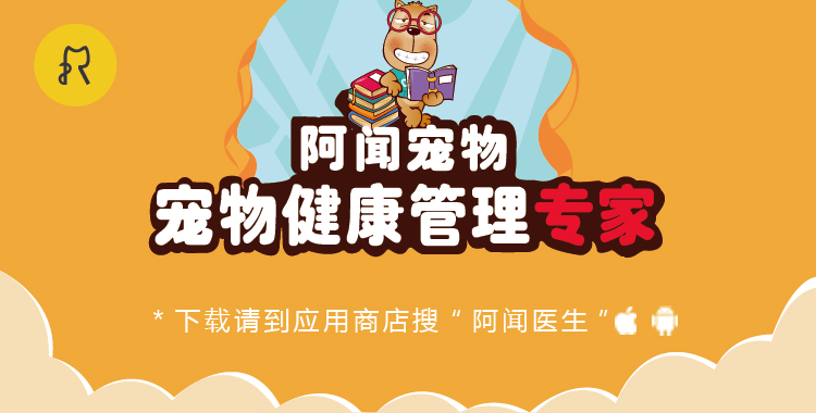 食屎啦，是一种什么样的体验|丧心病狂之狗粮试吃