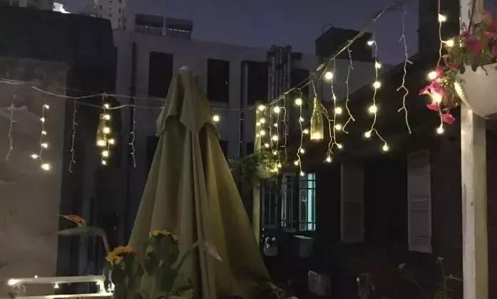 猫咪咖啡馆哪家最好,武汉有哪些猫咪咖啡厅