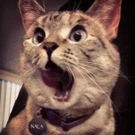 每天不化妆涂隔离好处和坏处,不保湿涂隔离会干吗