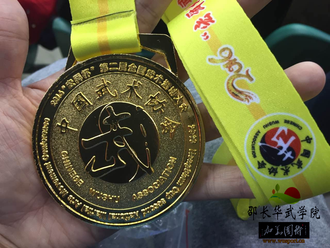 英姿飒爽战津门，武林大会再辉煌，龙身蛇形太极2016征战辉煌