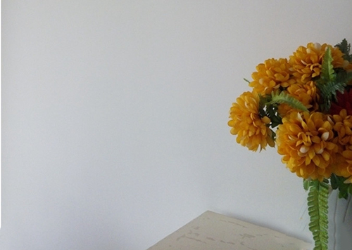 墙面漆脱落怎么办,家里油漆脱落怎么解决