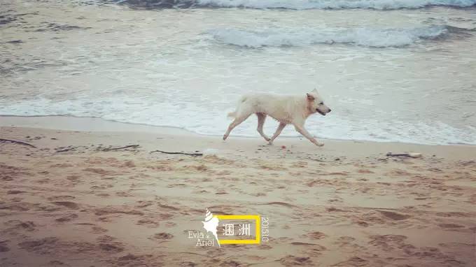 涠洲岛的浪漫旅行,和你去浪漫的涠洲岛