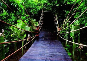 三亚慢游攻略,三亚慢生活视频