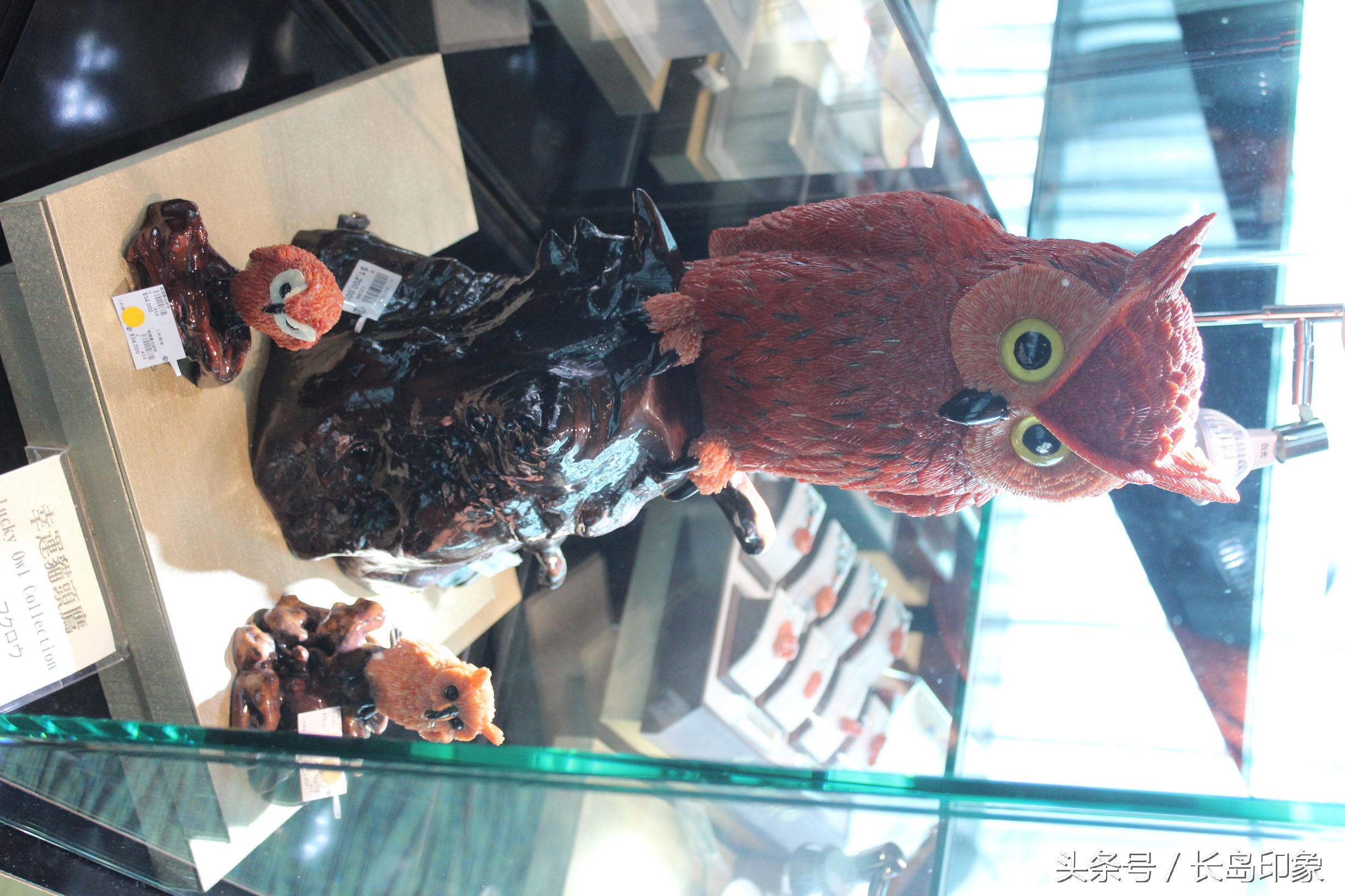 红珊瑚台湾寓意,台湾红珊瑚和日本红珊瑚的区别