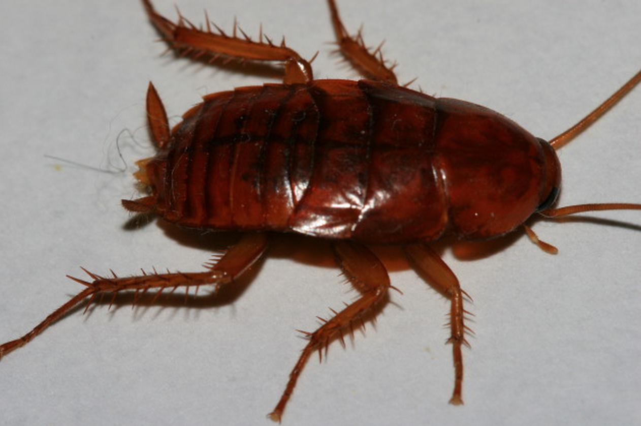 一楼潮湿墙面发霉最佳解决方法,没做防水楼下会渗水吗