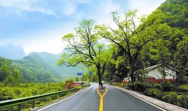 为什么年轻人还没离开厦门,多少人离开了厦门