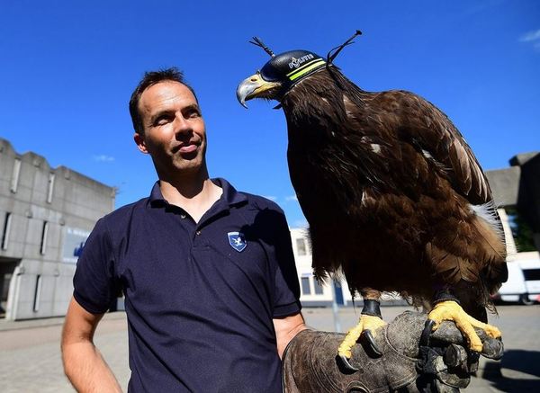 血滴子现在有吗,血滴子大战鹰爪