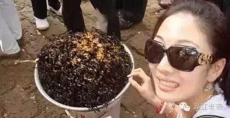 云南昆虫宴美食,云南特色虫宴