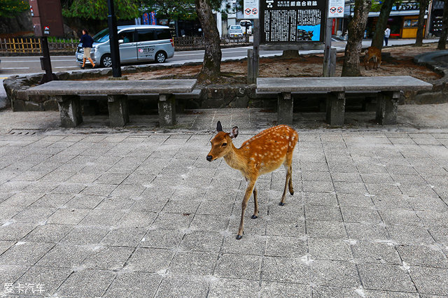 探索中国不为人知的地方,探访在日本基地