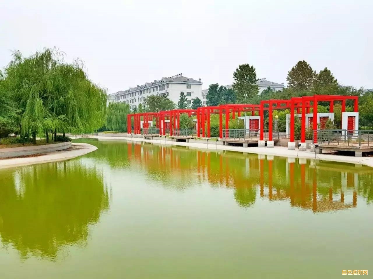 潍坊昌邑，一座如此好色之城，我的家乡我骄傲