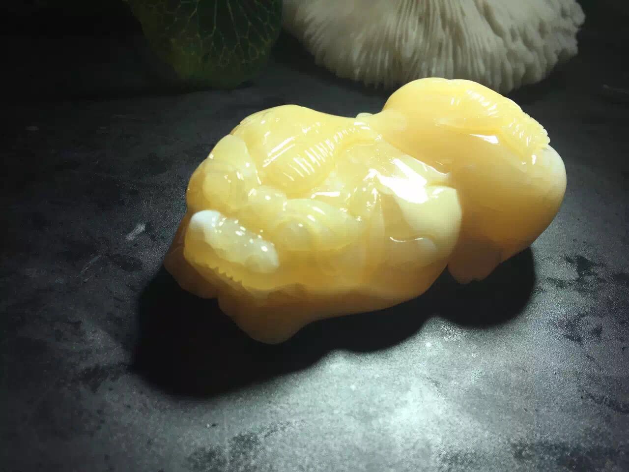 高能预警到底是什么,砗磲怎么保养和护理