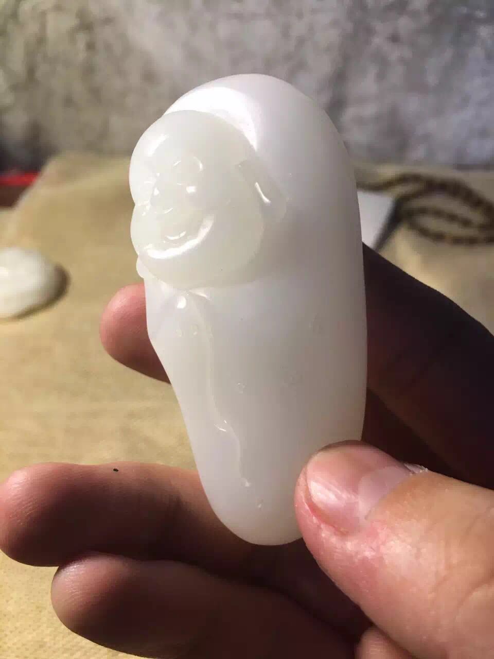 高能预警到底是什么,砗磲怎么保养和护理