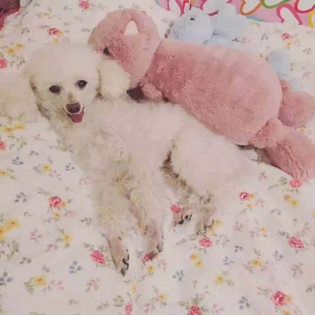 女生不会告诉你,送这样的礼物简直是通杀