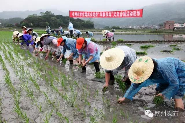 钦州市党代会报告,钦州市召开第六次党代会