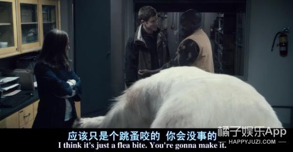 密集恐惧者请绕行,友情提示胆小的朋友请谨慎观看