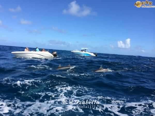 毛里求斯的日常,孤独的毛里求斯