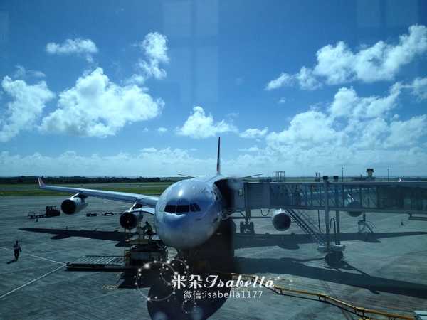 毛里求斯的日常,孤独的毛里求斯