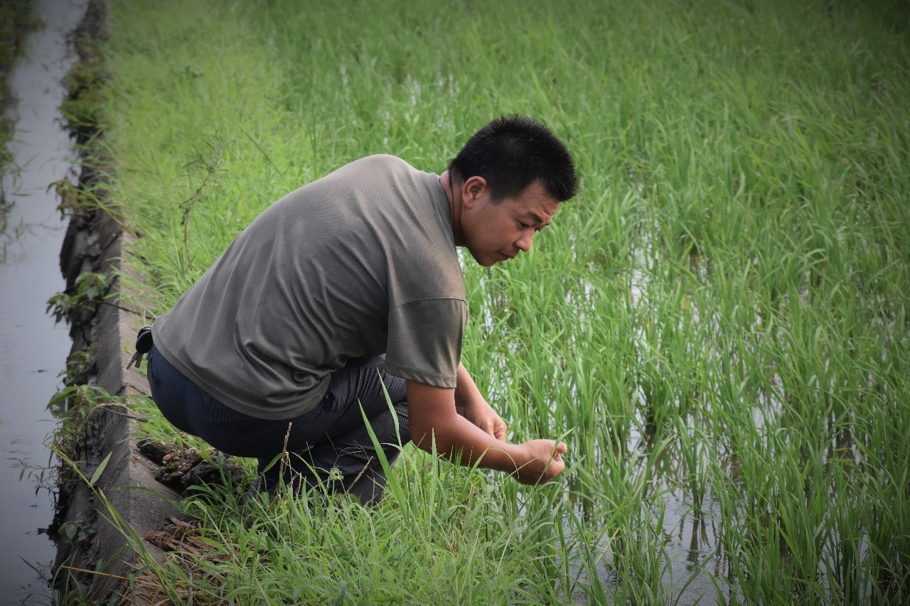 观察型无人机,观测式无人机