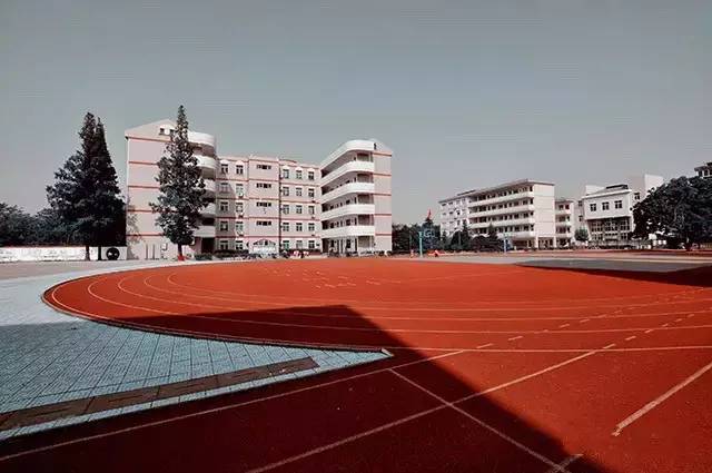 柯城这三所特色文化学校，请你来投票啦！