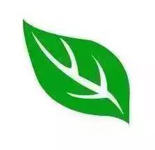 湿热饮食作息,白露节气的中医养生药方