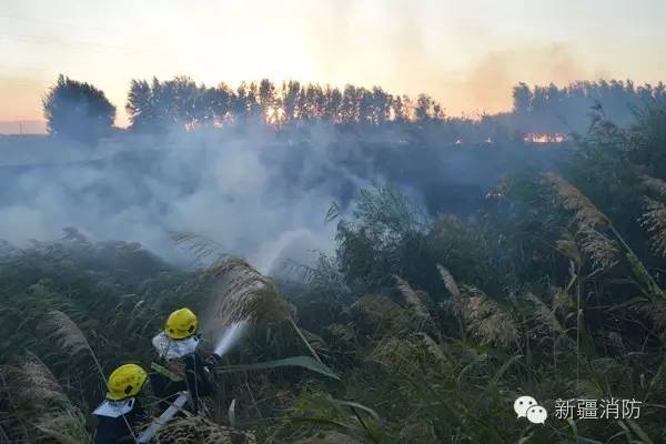 野外着火归哪个部门管,野外着火怎么最快灭