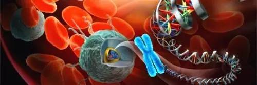 热点|比影像学检查更有效的CTC，你知道吗？