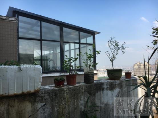 湘潭一小区被菜地包围臭气熏天,小区楼上住户养鸽子合法吗