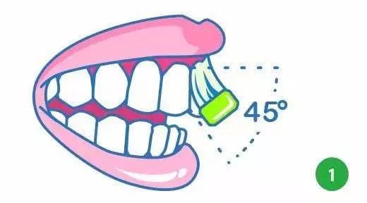 健康口腔保护牙齿,健康口腔龋齿